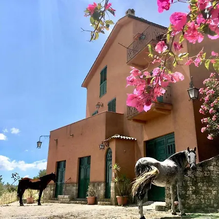 Country Sicily