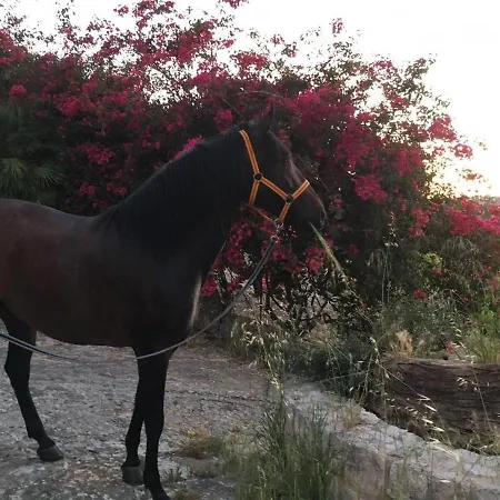 Country Sicily Favara