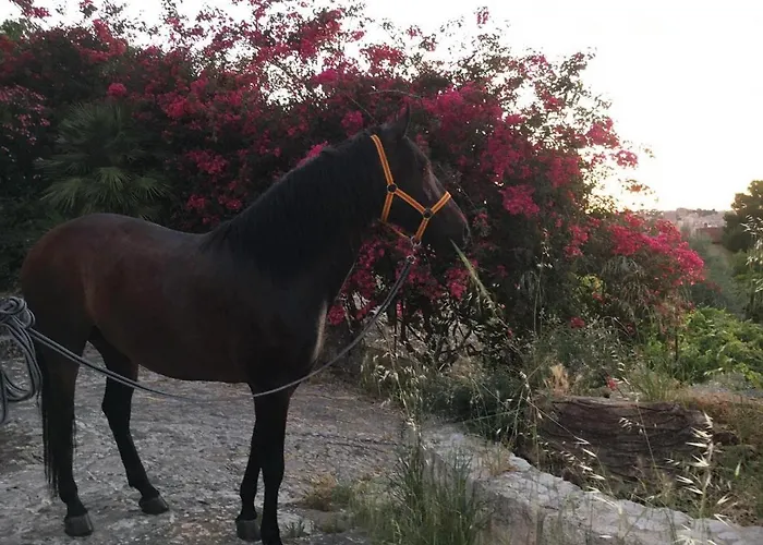 Country Sicily Favara