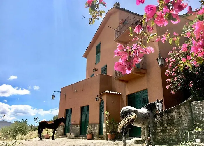 Country Sicily
